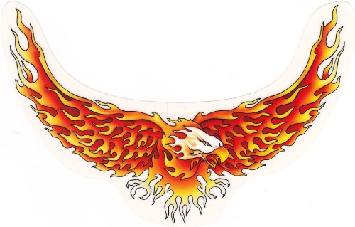 Bumper Stickers, Decals & Magnets  