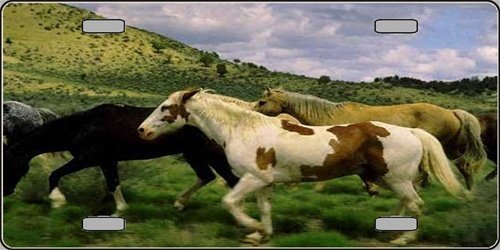 LP-2150 Wild Horses- Full Color Photography License Plates Frames Smart Blonde LP-2150