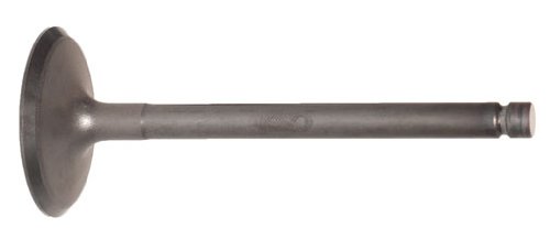Intake Valves Auto7 6120065