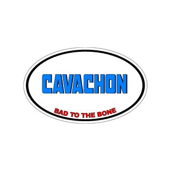 CAVACHON - Bad to the Bone - Dog Breed Euro - Window Bumper Laptop Sticker Bumper Stickers Stickers S4257