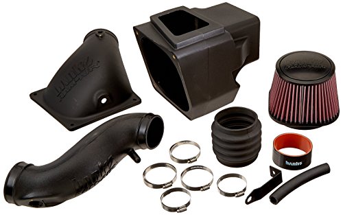 Ram Air Kit Banks 42175