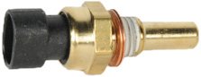 Fuel Injection ACDelco 19179158
