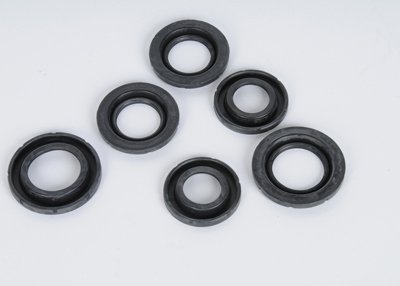 Caliper Pistons ACDelco 19206976