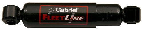 Shocks Gabriel 85000