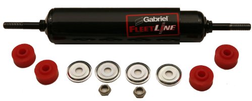 Shocks Gabriel 85728