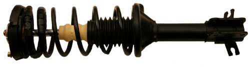 Struts Gabriel G56940