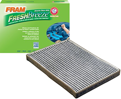 Air Filters Fram CF10731