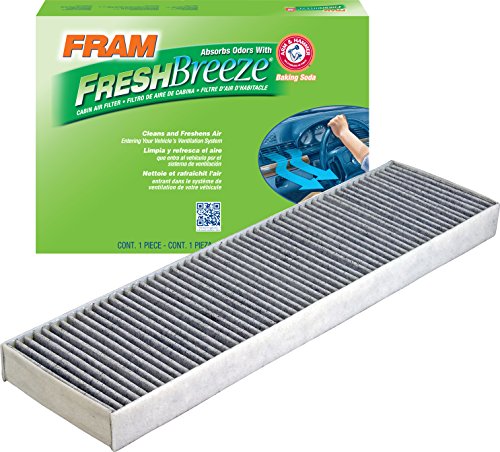 Air Filters Fram CF10733