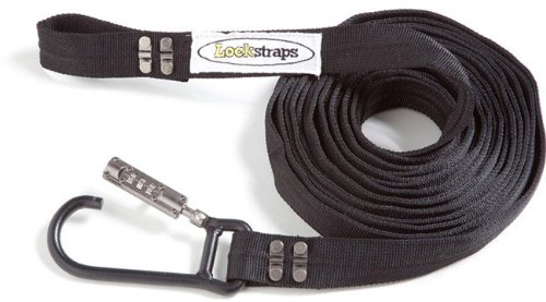 Tie-Downs Lock-It Straps 301