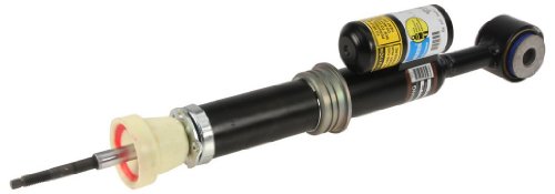 Dual Shock Kits Motorcraft W0133-1891311-MTR