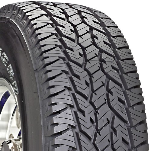 All-Season Bridgestone 204593