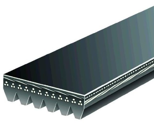 Serpentine Gates 6PK1880