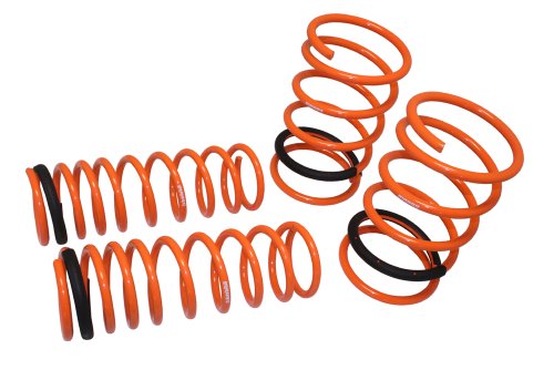 Coil Springs Megan Racing MR-LS-M3GT