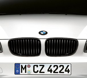 Grille Inserts BMW 51 71 2 165 539