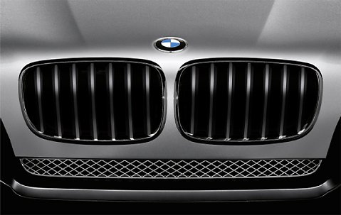 Grilles BMW 51 71 2 150 246