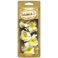 Air Fresheners  06714