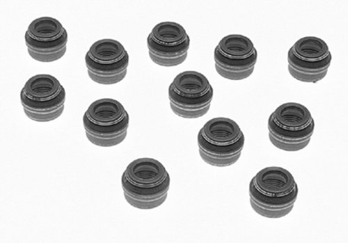 Seals Victor Reinz B45544