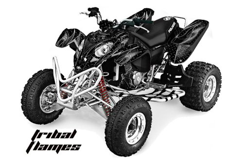 Decals AMR Racing B004VPRNWS