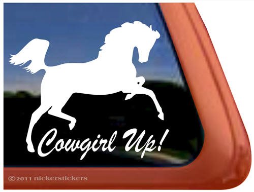 Decals NickerStickers DC418CU
