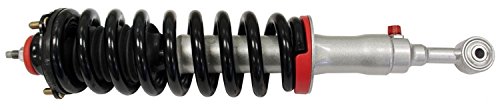 Struts Rancho RS999919