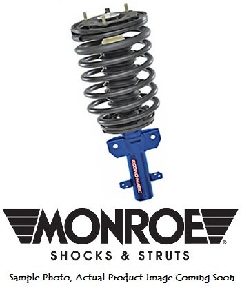 Struts Monroe 181286L