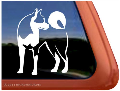 Bumper Stickers, Decals & Magnets NickerStickers DC305PL-L