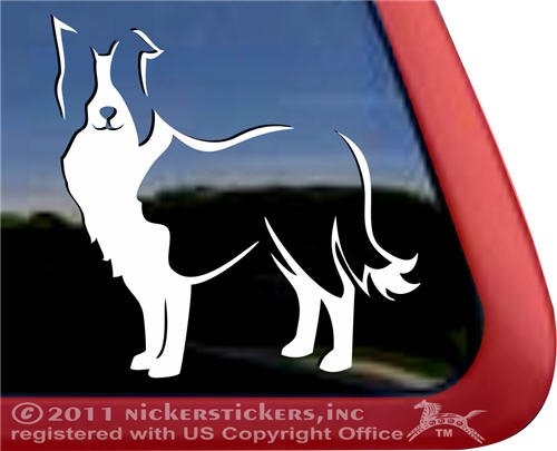 Bumper Stickers, Decals & Magnets NickerStickers DC470PL-L