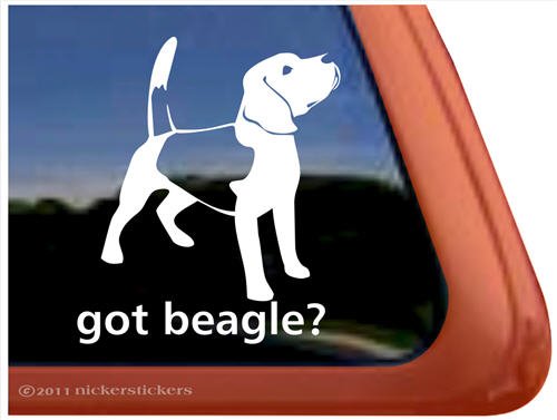 Bumper Stickers, Decals & Magnets NickerStickers DC311GOT