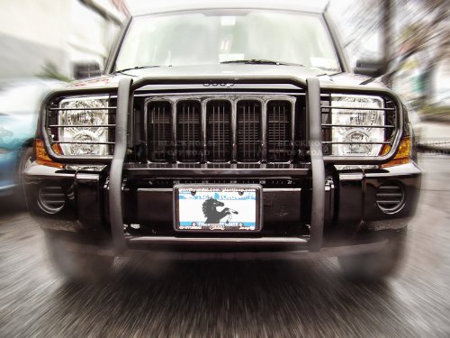 Grille & Brush Guards BLACK HORSE 17A081000MA