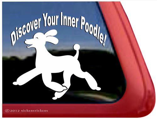 Bumper Stickers, Decals & Magnets NickerStickers DC821SP1