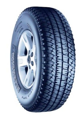 Car, Light Truck & SUV Michelin 73311