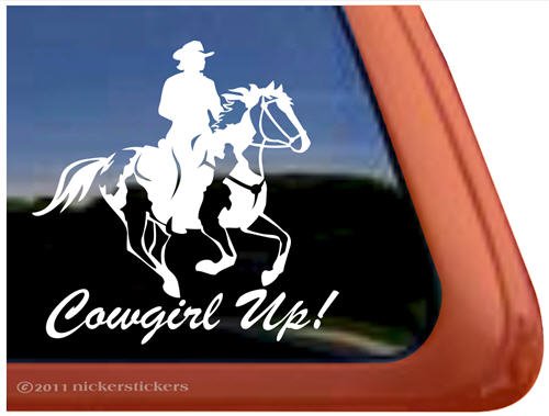 Bumper Stickers, Decals & Magnets NickerStickers DC652CU