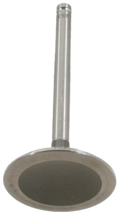 Intake Valves TRW W0133-1636960-TRW