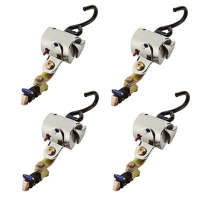 Ratcheting Q'Straint Q-8201-L