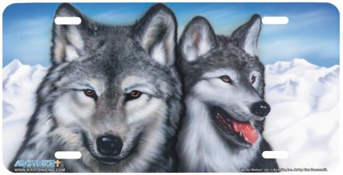 Frames Airstrike 211