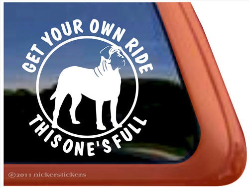 Bumper Stickers, Decals & Magnets NickerStickers DC363FR