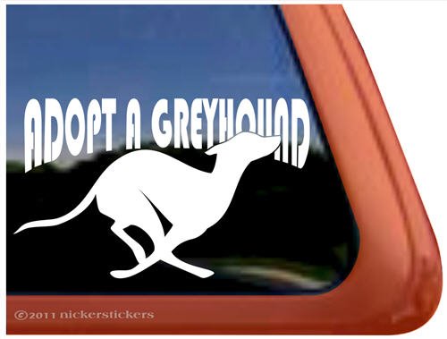 Bumper Stickers, Decals & Magnets NickerStickers DC520SP1