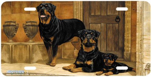 Frames Airstrike 4207