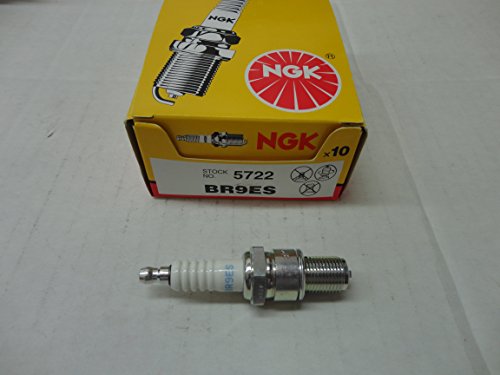 Spark Plugs NGK BR9ES