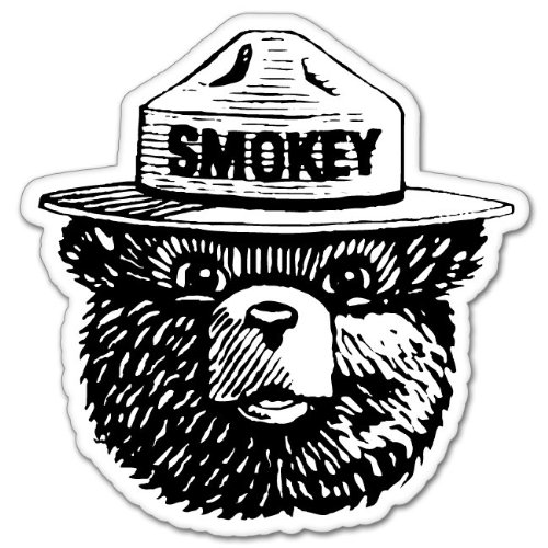 Bumper Stickers VIP Stickers genestick94