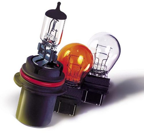 Bulbs  
