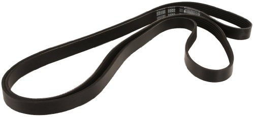 Special Drive Dayco W0133-1625289-DAY