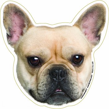 Bumper Stickers, Decals & Magnets Magnet America M-AN-FFBULL