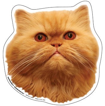 Persian Cat Magnet Bumper Stickers, Decals & Magnets Magnet America M-AN-PERS