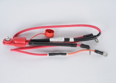 Safety ACDelco 21019684