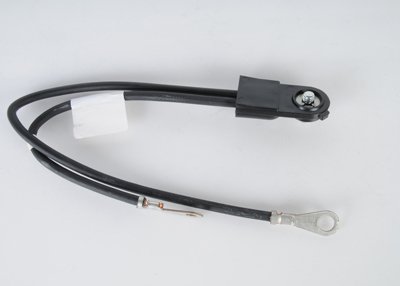 Safety ACDelco 21019685