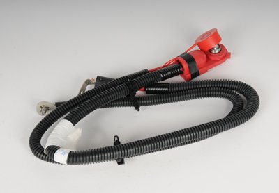 Positive ACDelco 21024796