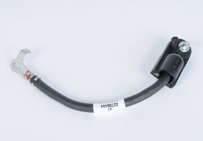 Safety ACDelco 22706444
