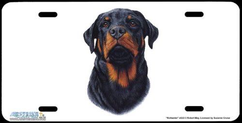 Frames Airstrike 4333