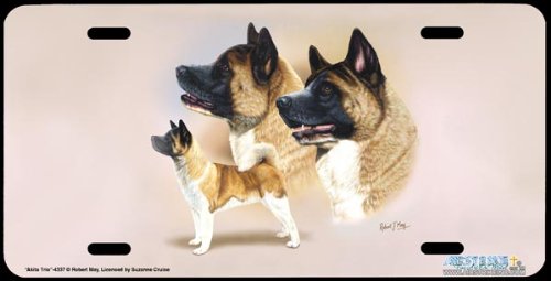 4337-Akita Trio Dog License Plate Car Auto Novelty Front Tag by Robert J. May from Airstrike Frames Airstrike 4337